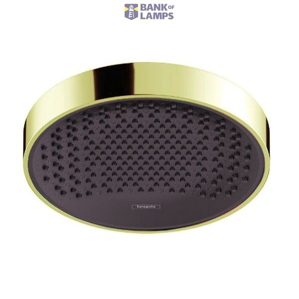 Rainfinity 250 1jet Eco overhead shower, polished gold image 1