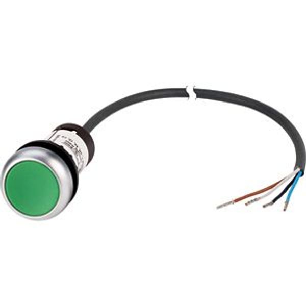 C22-D-G-K10-P65 Pushbutton, Flat, momentary, 1 N/O, Cable (black) with non-terminated end, 4 pole, 3.5 m, green, Blank, Bezel: titanium image 2