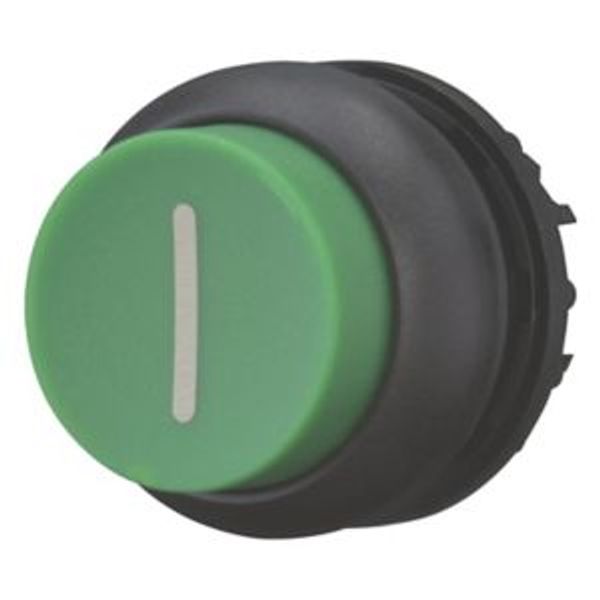 M22S-DH-G-X1 Pushbutton, RMQ-Titan, Extended, momentary, green, inscribed, Bezel: black image 2
