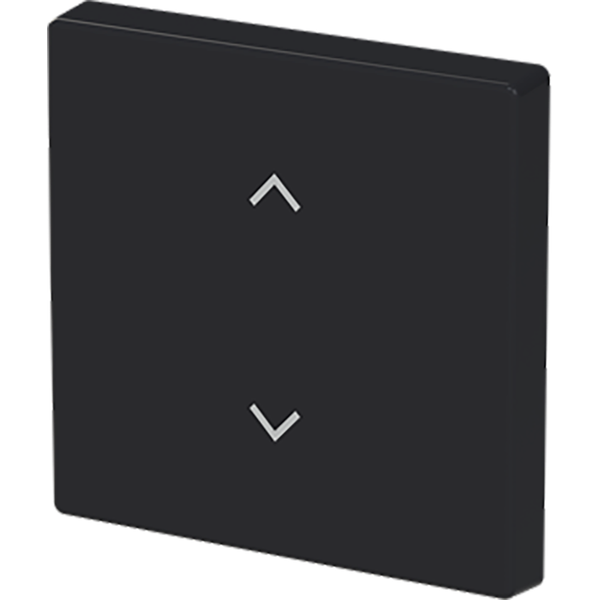 F@H, BT, FoH Control rocker 1-v blind f-matt black image 1