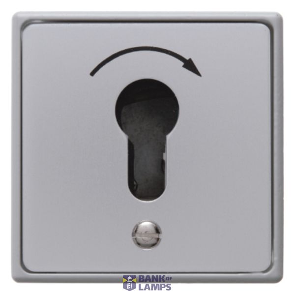 Push button for key cylinder, flush-mounted, cast IP44 image 1