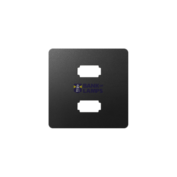 Cover for 2 x USB (2.0) type A socket, female, Graphite image 1