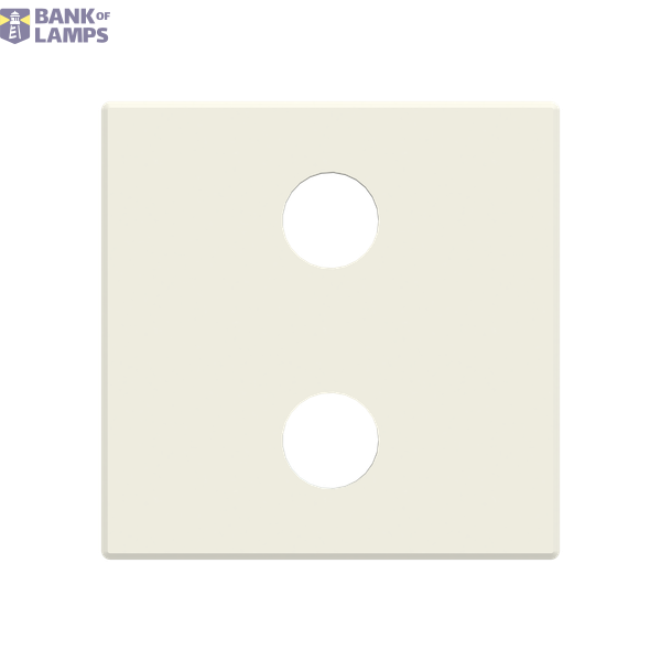 2RCA con unit cover plate image 1