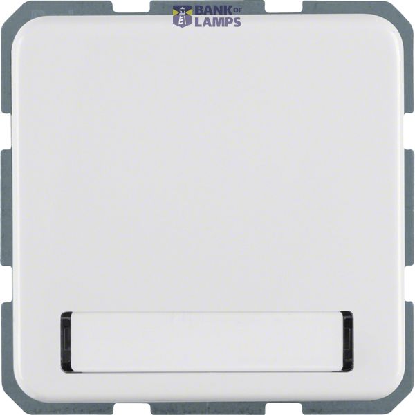 WCD RA with hinged cover and text window IP44 flush-mounted, polar white image 1