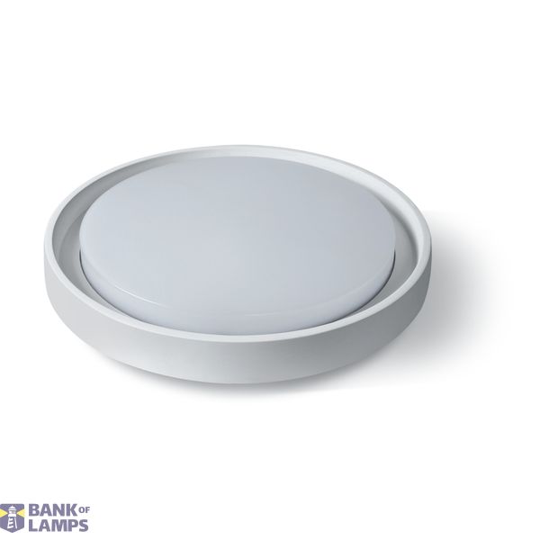 WHITE PLAFO 30W WW IP54 230V image 1