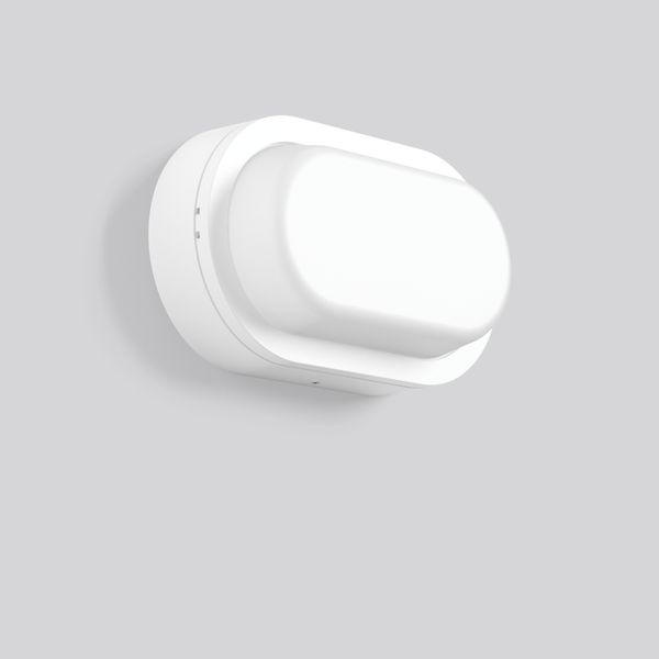 Alu-Lux oval, 12 W, 680 lm, 830, white, on/off Ceiling and wall lumina image 2