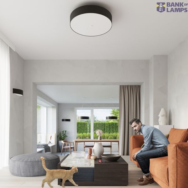 CEILING LAMP SCALE 50 BLACK E27 5X60W IP20 image 6