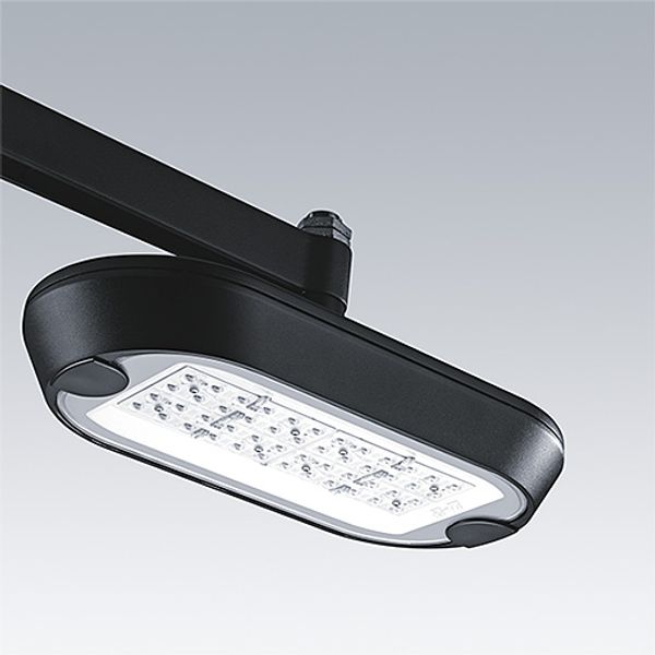 UD 48L50-730 WSC-S CL2 WS1 MSU-T BK U0 - LED Amenity lighting lantern image 1