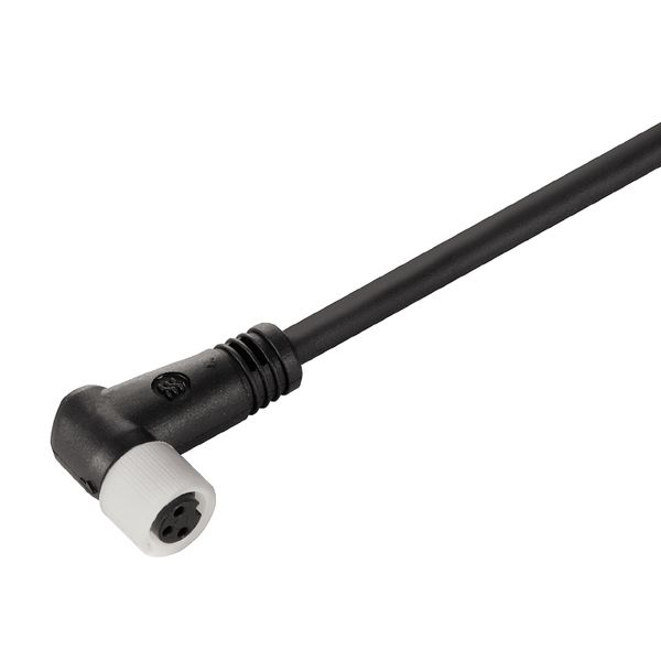 Sensor/actuator line, One end without connector, M12 / M8, Number of poles : 3, 5 m, Socket, angled, Shielded: No, LED: No, Sheath material: PVC, Halogen: Yes image 3