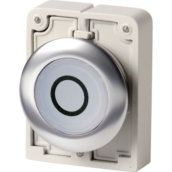 M30I-FDL-W-X0 Illuminated pushbutton actuator, RMQ-Titan, flat, momentary, White, inscribed 0, Front ring stainless steel image 4