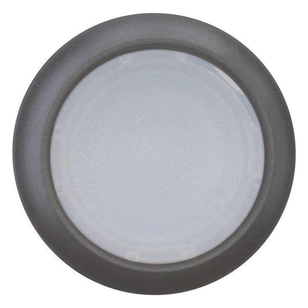 M22S-DL-W Illuminated pushbutton actuator, RMQ-Titan, Flush, momentary, White, Blank, Bezel: black image 4