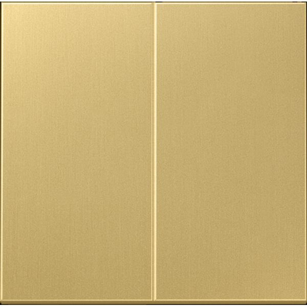 2-gang dimmer plate ME1565.07C image 2