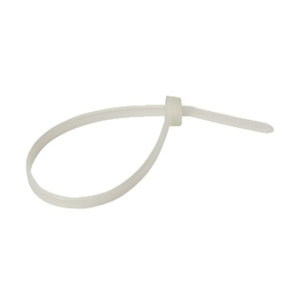 MUREVA Cable tie Transparent 100x2.5 18 image 1