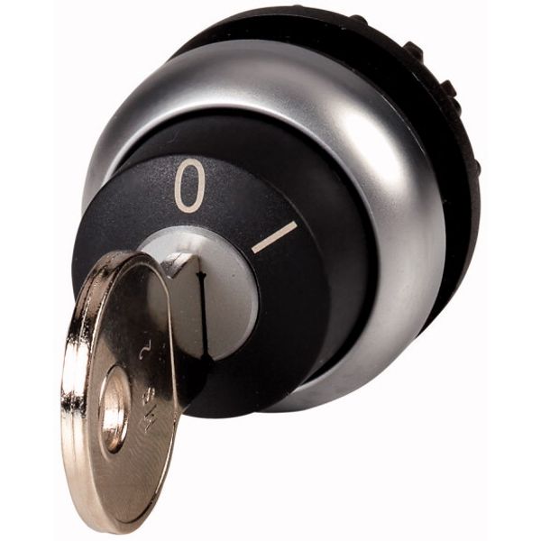 M22-WS-MS2 Key-operated actuator, momentary, 2 positions, MS2, Key withdrawable: 0, Bezel: titanium image 1