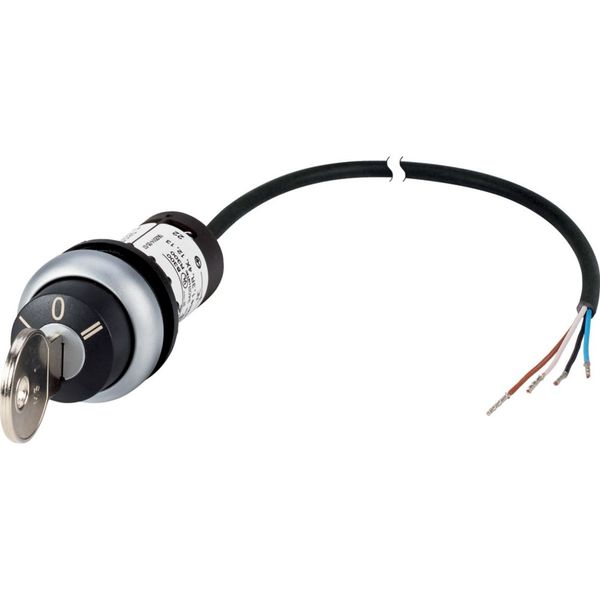 C22-WS3-MS1-K20-P62 Key-operated actuator, RMQ compact solution, momentary, 2 N/O, Cable (black) with non-terminated end, 4 pole, 1 m, 3 positions, MS1, Bezel: titanium image 3