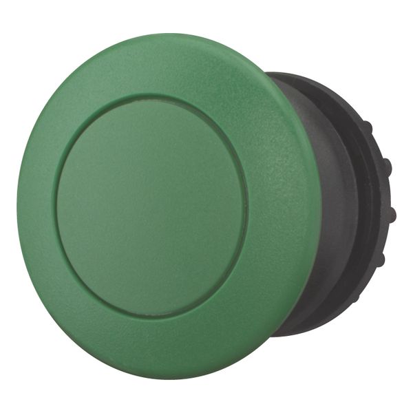 M22S-DP-G Mushroom actuator, RMQ-Titan, Mushroom, momentary, Mushroom green, green, Blank, Bezel: black image 2