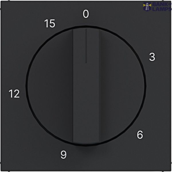 Central plate for mechanical time switch 0-15 min., A.x/C.x, black material image 1