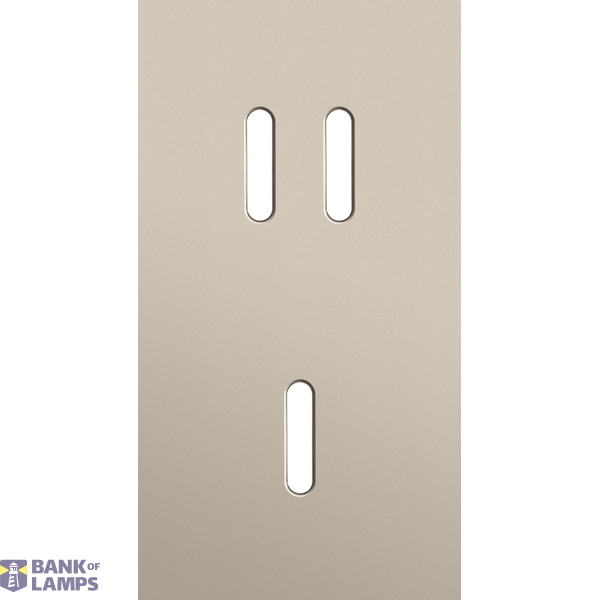 Twofold faceplate, vertical 71 mm centre distance, for a double and a image 1