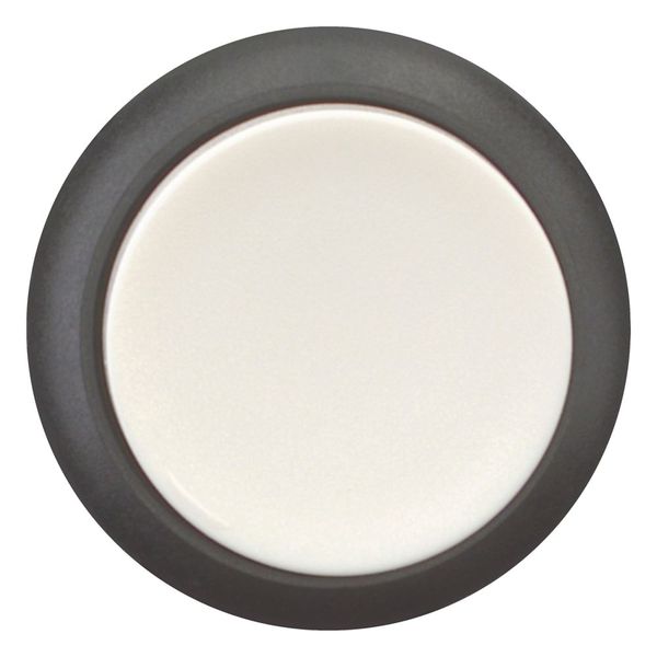 M22S-DH-W Pushbutton, RMQ-Titan, Extended, momentary, White, Blank, Bezel: black image 3