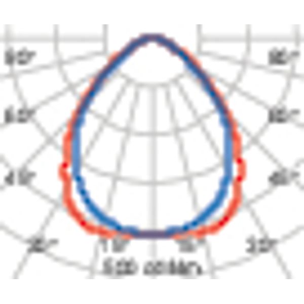 PLATE 600 MP 28.5 830 UGR image 4