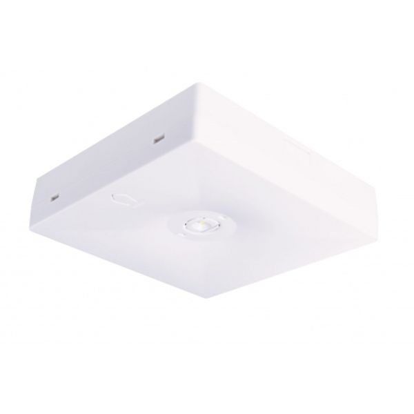 STARLET QUAD SOH 250 CB image 1