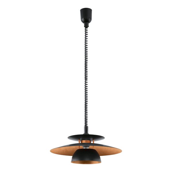BRENDA pendant light 31666 image 1