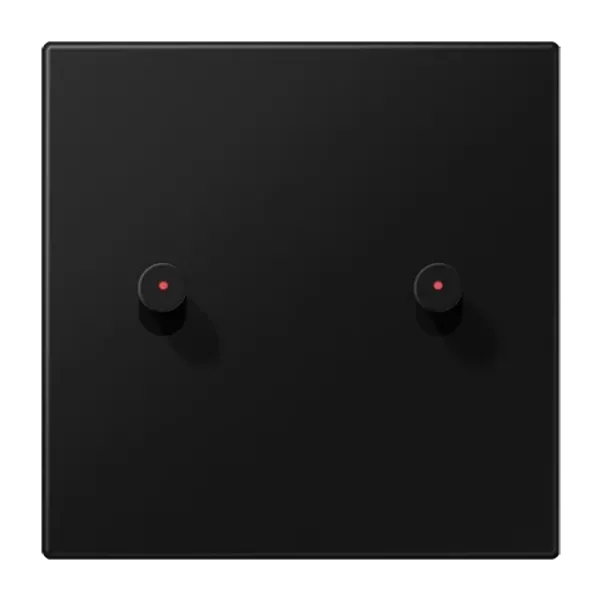 Centre plate 1-gang w. 2 toggle for IL image 1