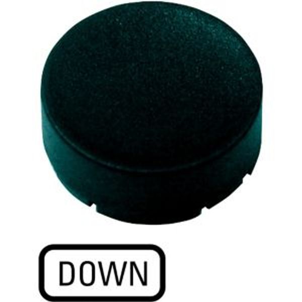 M22-XDH-S-GB4 Button plate, raised black, DOWN image 4