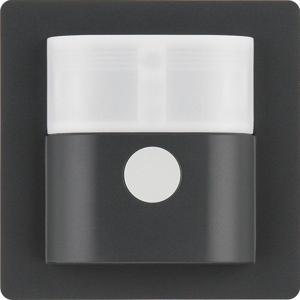 Motion det. 1.1 m, Q.1/Q.3, ant. velvety, lacq. image 1