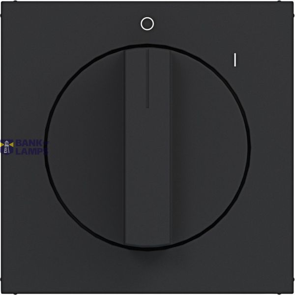 Rotary switch center plate, with markings 0-1, A.x/C.x night black matte image 1