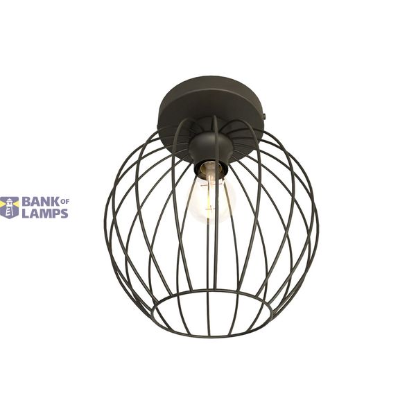 1371/1 NEST 1 BL image 3