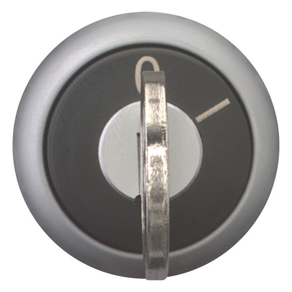 M22-WRS-MS6 Key-operated actuator, maintained, 2 positions, MS6, Key withdrawable: 0, I, Bezel: titanium image 2