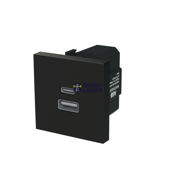 N2285.3 PL CARICATORE USB-A+C 10,5W -2M image 2