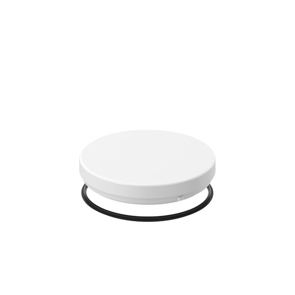 Replacement cover, plastic glass D 300 H 55 colour: white image 1