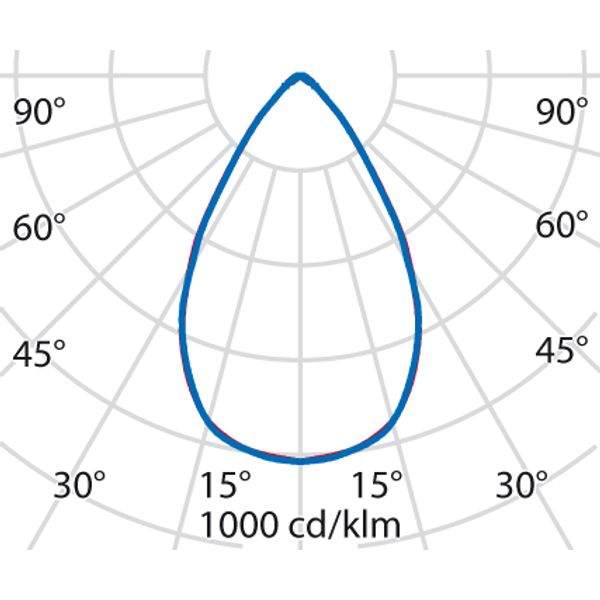 TYK+ 20 31 C/IW 927 ANTHRACITE DALI image 7