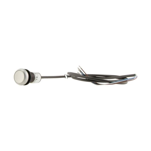 C22-DR-W-K10-P65 Pushbutton, classic, flat, maintained, 1 N/O, white, cable (black) with non-terminated end, 4 pole, 3.5 m image 8