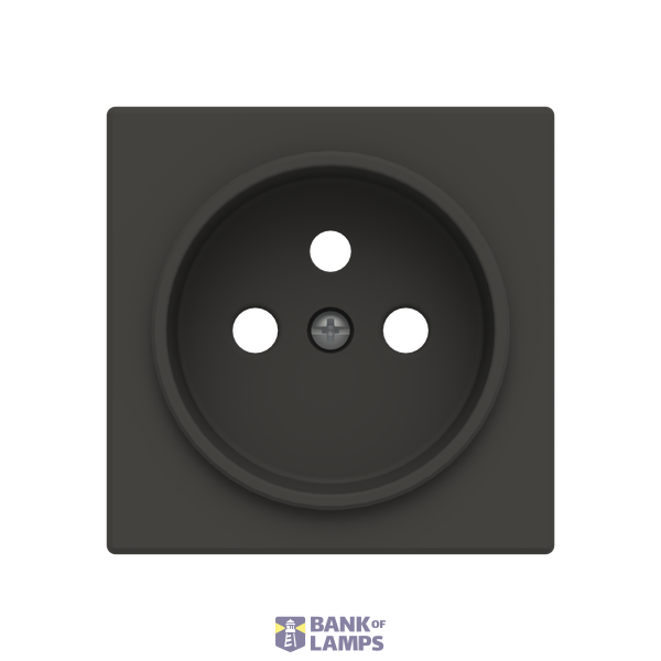 Cover french socket image 1
