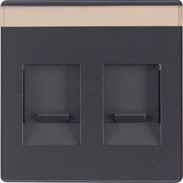 Centre plate 2 dust prot. sliders, lab. field, Q.1/Q.3, ant. velvety, image 1