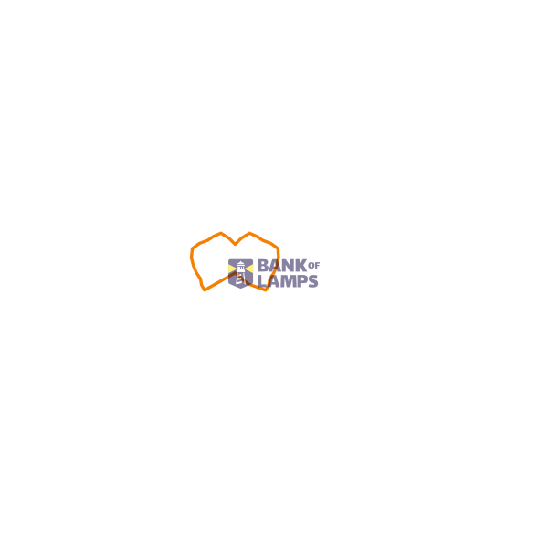 Steinel Sensor Outdoor Spotlight XLED PRO 240 black image 1