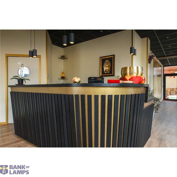 ASTO TUBE, pendant light, GU10, pendant length 250 cm, 2x max. 10 W, black image 2