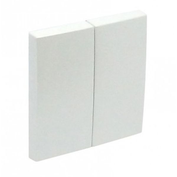 ROCKER F/DOUBLE-FUNCTION MECHANISM ICE image 1