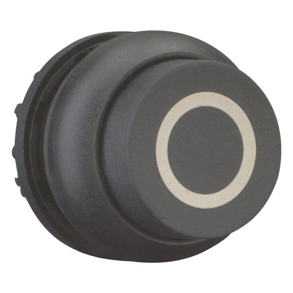 M22S-DRH-S-X0 Pushbutton, RMQ-Titan, Extended, maintained, black, inscribed, Bezel: black image 13