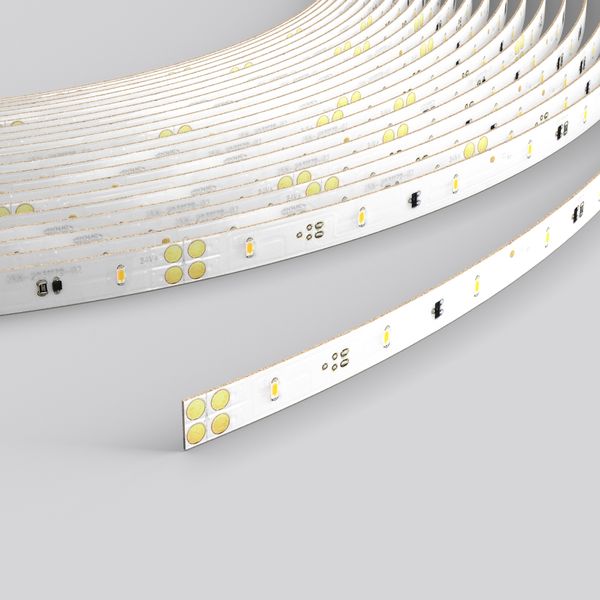 LED strip PRO LED L 5000 B 8 H 2 24 V / 102,50 W / 4000K image 1