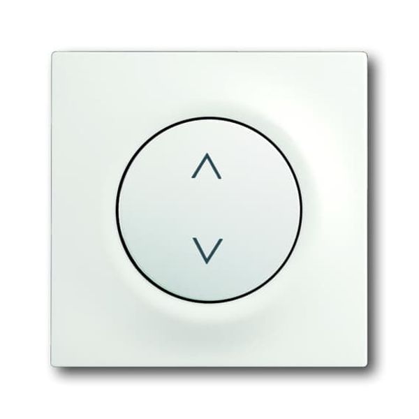Busch-Timer®, Control elements solo®, Cover plate for Comfort Blind insert, grey metallic image 1
