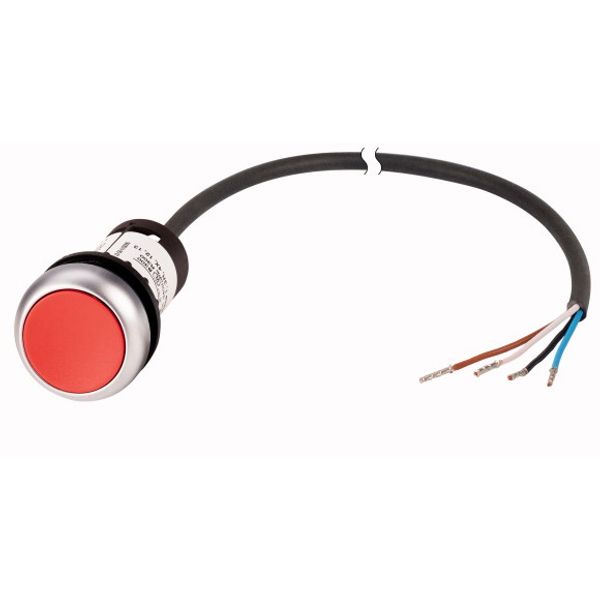 C22-DR-R-K01-P62 Pushbutton, classic, flat, maintained, 1 N/C, red, cable (black) with non-terminated end, 4 pole, 1 m image 1