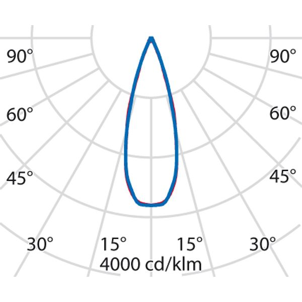 TYK+ 20 31 C/M 840 ANTHRACITE DALI image 5