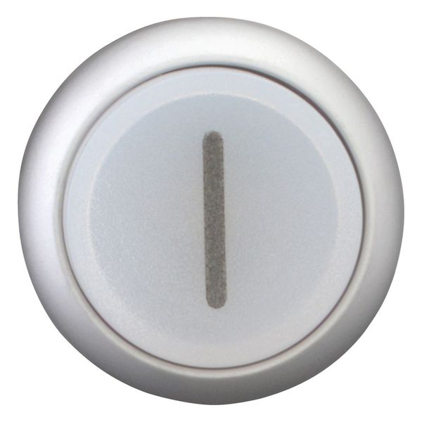 M22-DLH-W-X1 Illuminated pushbutton actuator, RMQ-Titan, Extended, momentary, White, inscribed 1, Bezel: titanium image 9
