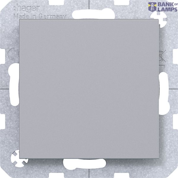 Blank plate with central plate, A.x/C.x, titanium image 1
