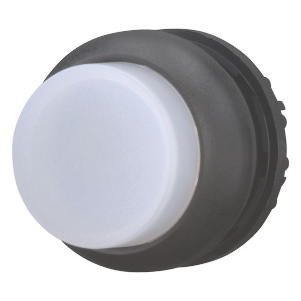 M22S-DRLH-W Illuminated pushbutton actuator, RMQ-Titan, Extended, maintained, White, Blank, Bezel: black image 12