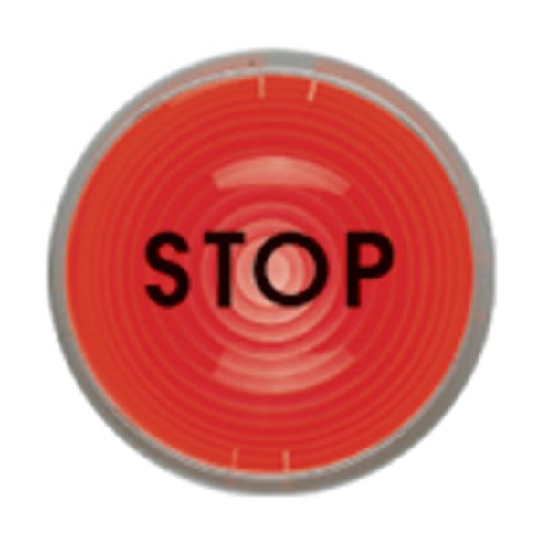 Adhesive sticker "STOP" image 1